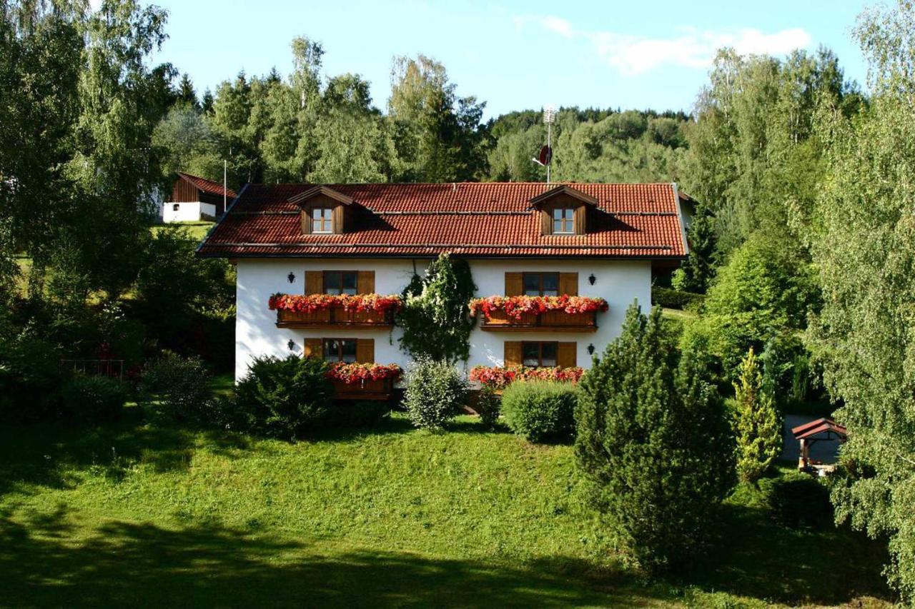 Ferienwohnungen Haus "Wildschuetz" Frauenau Εξωτερικό φωτογραφία